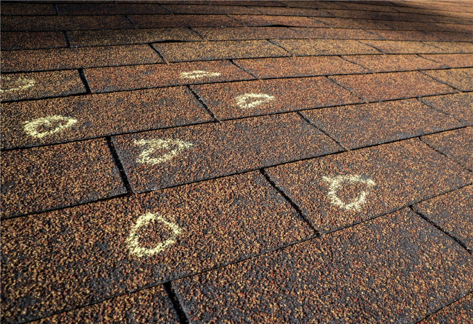 Hail damage on asphalt shingle roof — granule loss and bruising visible